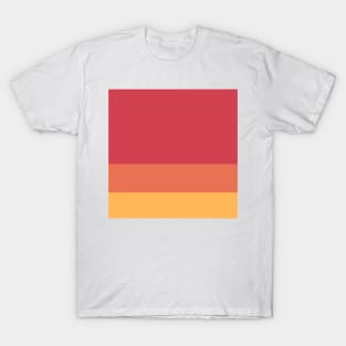 An attractive brew of Licorice, Jazzberry Jam, Faded Red, Light Red Ochre and Butterscotch stripes. T-Shirt